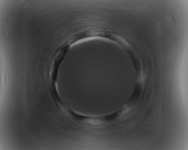 X0000085320524200703302047