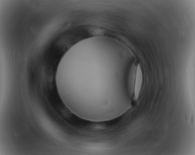 X0000085320525200703302047