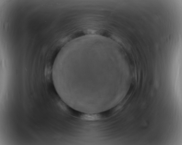 X0000085320526200703302047