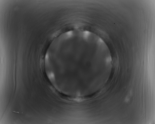 X0000085320527200703302047