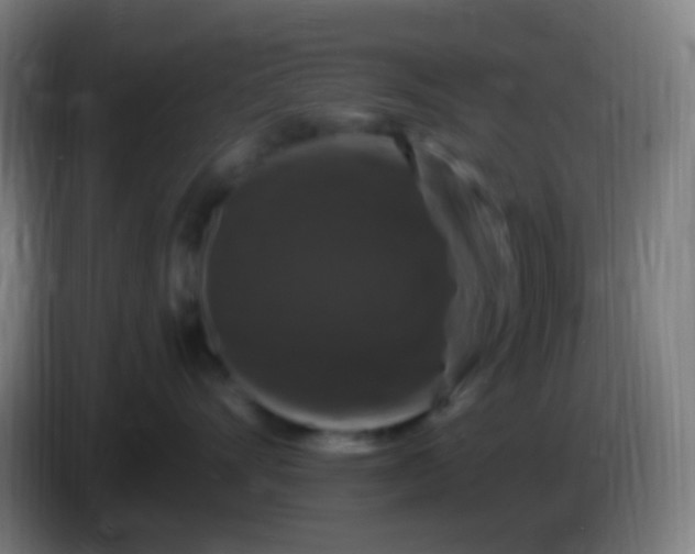 X0000085320528200703302047