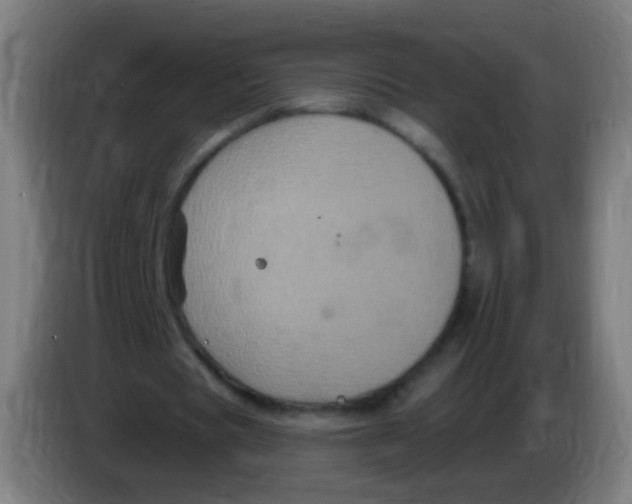 X0000085320529200703302046