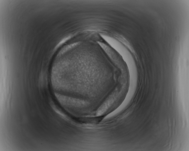 X0000085320530200703302046