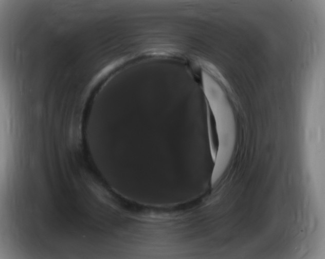 X0000085320531200703302046