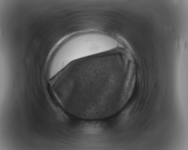 X0000085320532200703302046