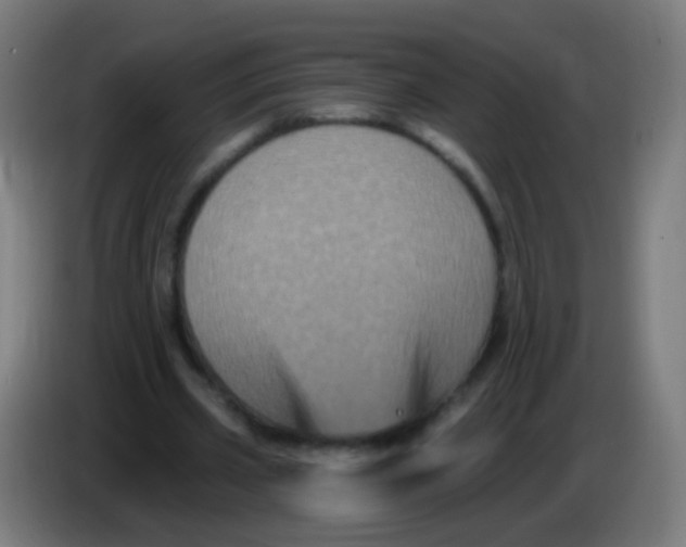 X0000085320533200703302046