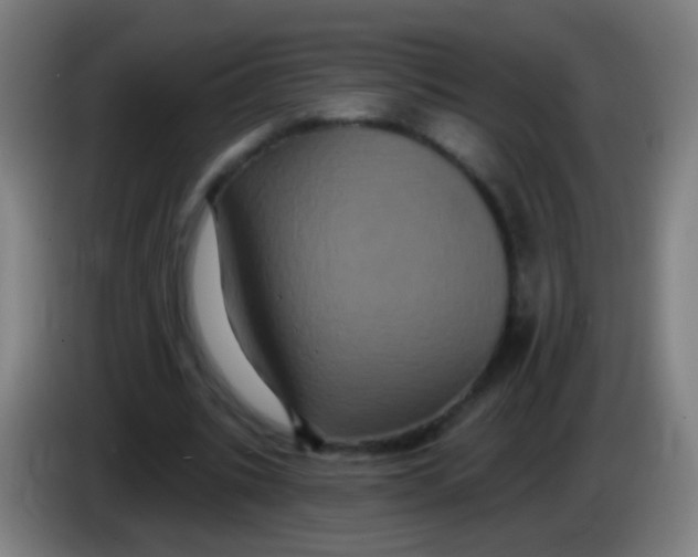 X0000085320535200703302046