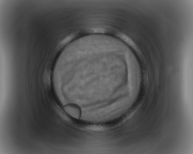 X0000085320537200703302046