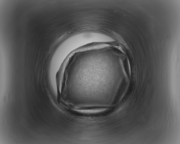 X0000085320538200703302046