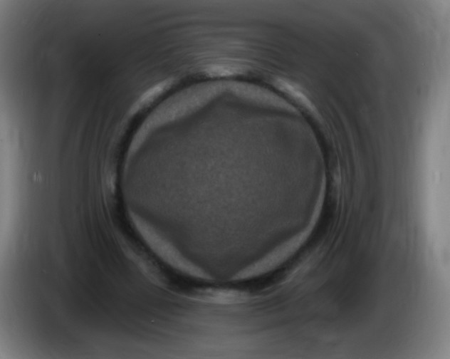 X0000085320539200703302046