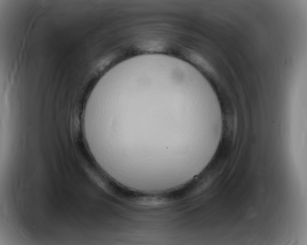 X0000085320541200703302047