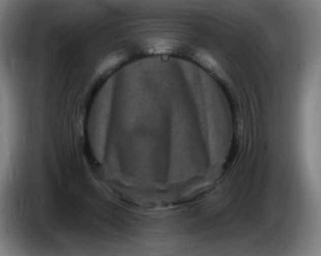X0000085320543200703302047