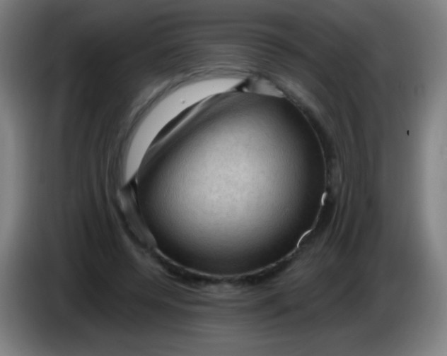 X0000085320544200703302047