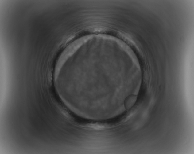 X0000085320545200703302047
