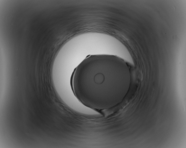 X0000085320546200703302047