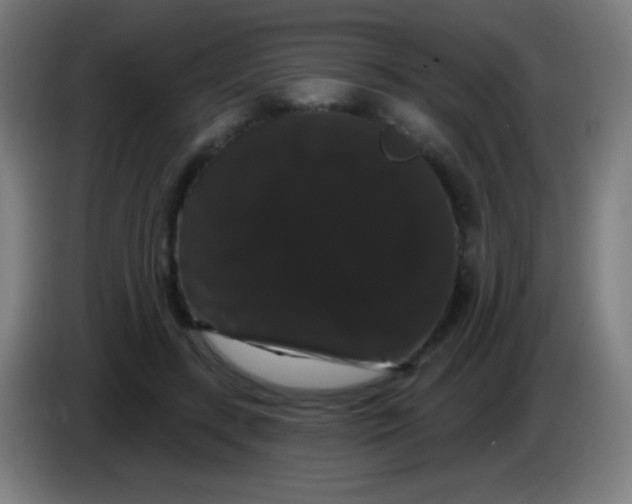 X0000085320547200703302047