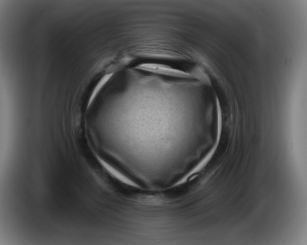X0000085320548200703302047