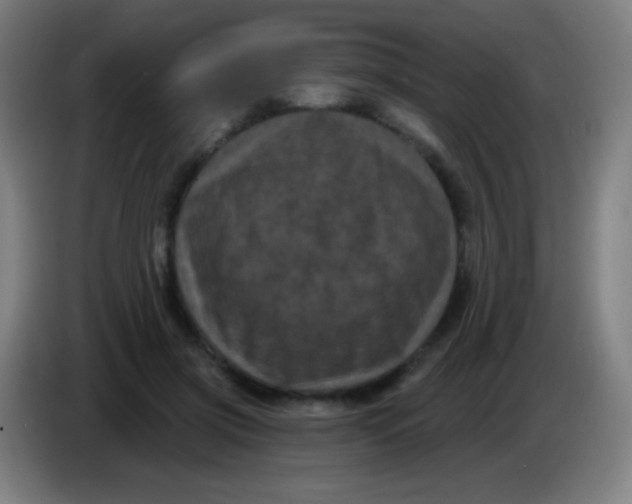 X0000085320549200703302047