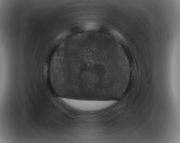 X0000085320550200703302047