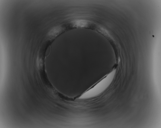 X0000085320551200703302047