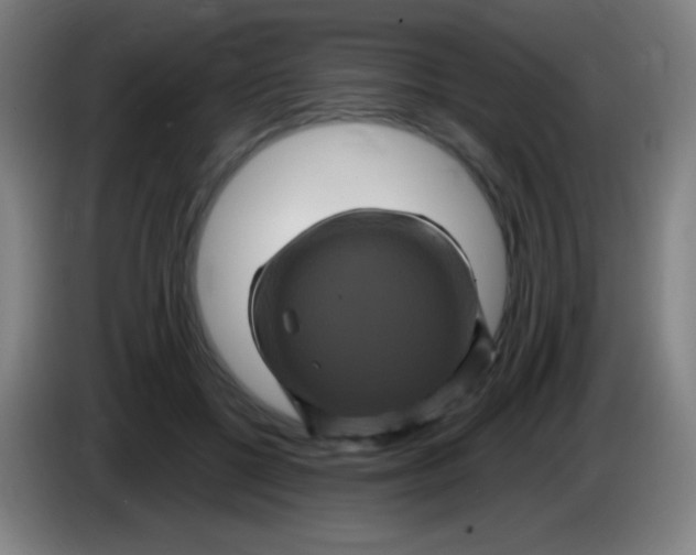 X0000085320552200703302047
