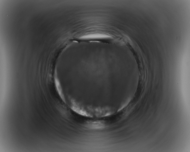 X0000085320553200703302047