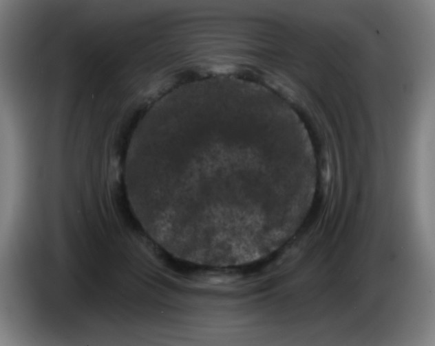 X0000085320555200703302047