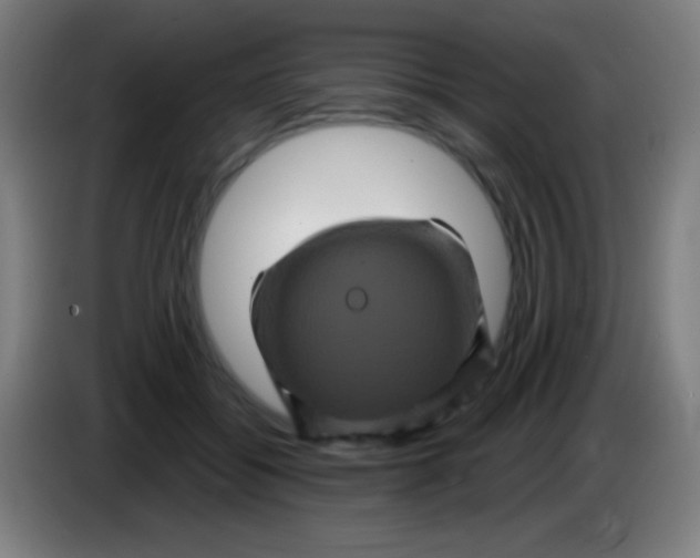 X0000085320556200703302047