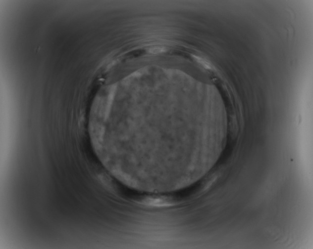 X0000085320557200703302047