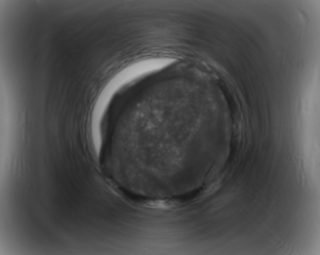 X0000085320558200703302047