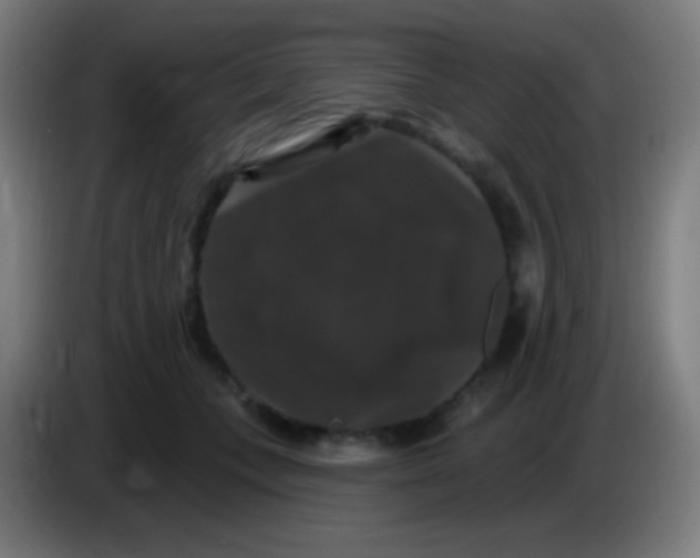 X0000085320559200703302047