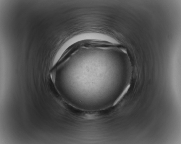 X0000085320560200703302047