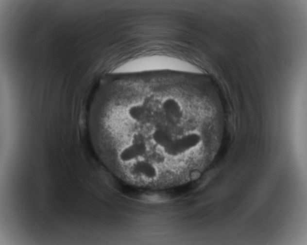 X0000085320561200703302047