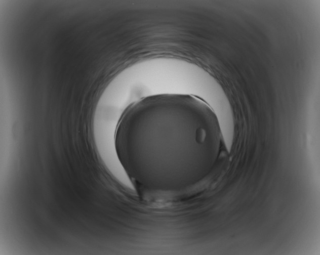 X0000085320562200703302047