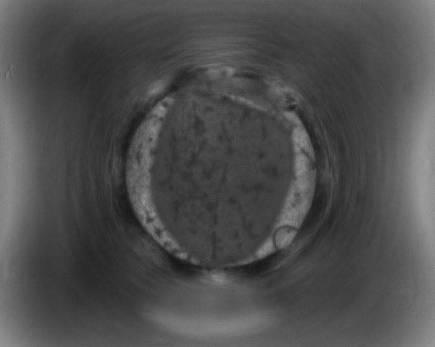 X0000085320565200703302047