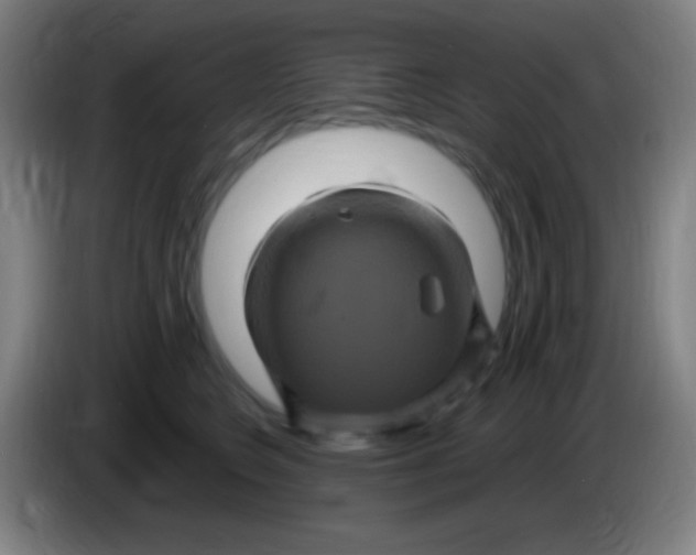 X0000085320566200703302047