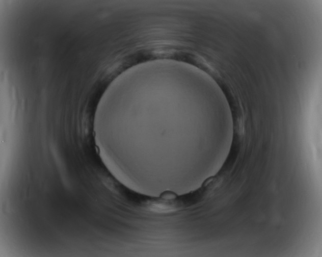 X0000085320567200703302047