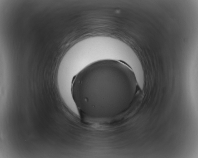 X0000085320568200703302047