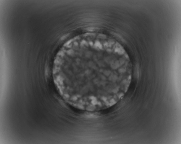 X0000085320569200703302047