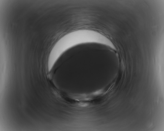 X0000085320570200703302047