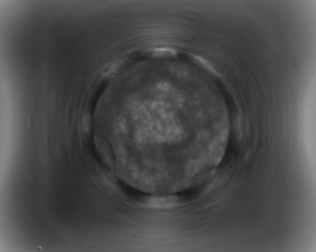 X0000085320571200703302047