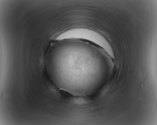 X0000085320572200703302047
