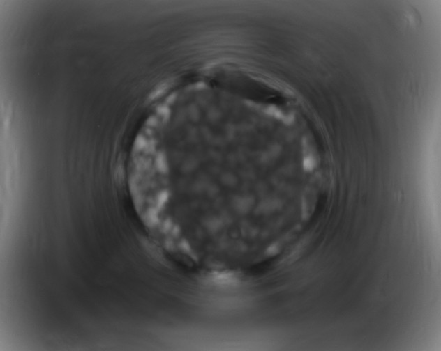 X0000085320573200703302047