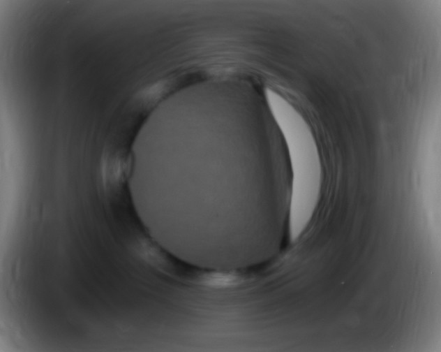 X0000085320574200703302047