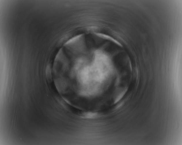 X0000085320575200703302047