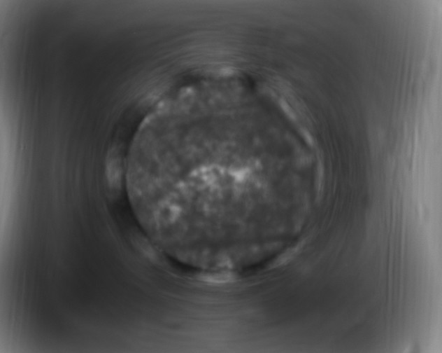 X0000085320576200703302047