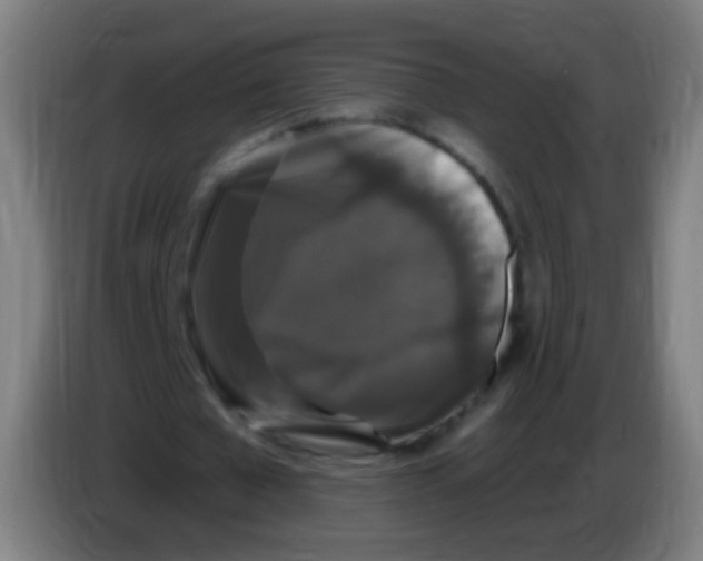 X0000085320577200703302046