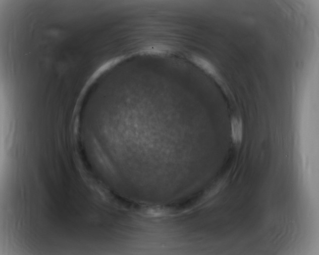 X0000085320579200703302046