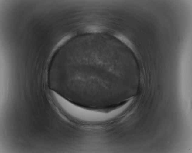 X0000085320581200703302046