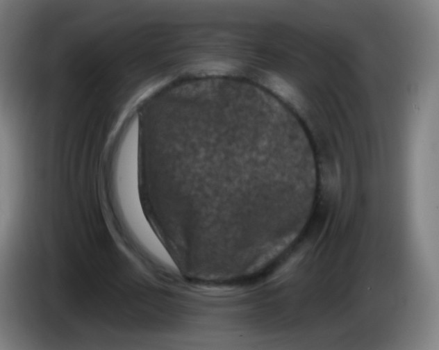 X0000085320582200703302046